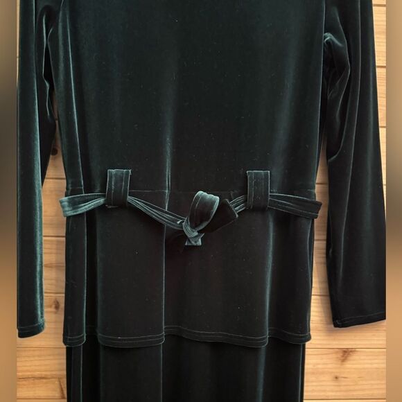 Plaza South Large Dark Green Velvet Tie Waist Long Sleeve Maxi Dress Christmas - Picture 3 of 11